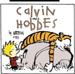 • Calvin And Hobbes