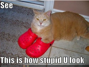 funnypicturesredshoescatstupid