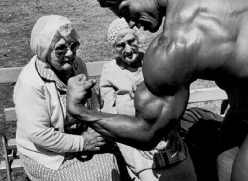 Arnold Flex